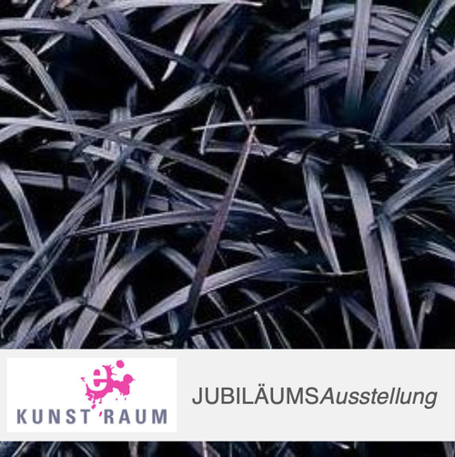 bildschirmfoto-2025-03-01-um-163758